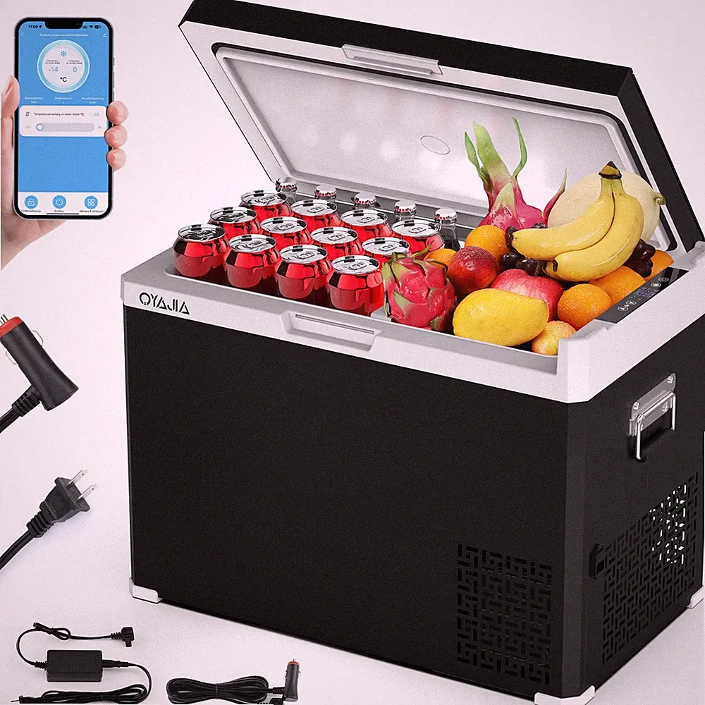 30-50L Kompressor Kühlbox elektrisch Gefrierbox Tragbarer Autokühlschrank DHL