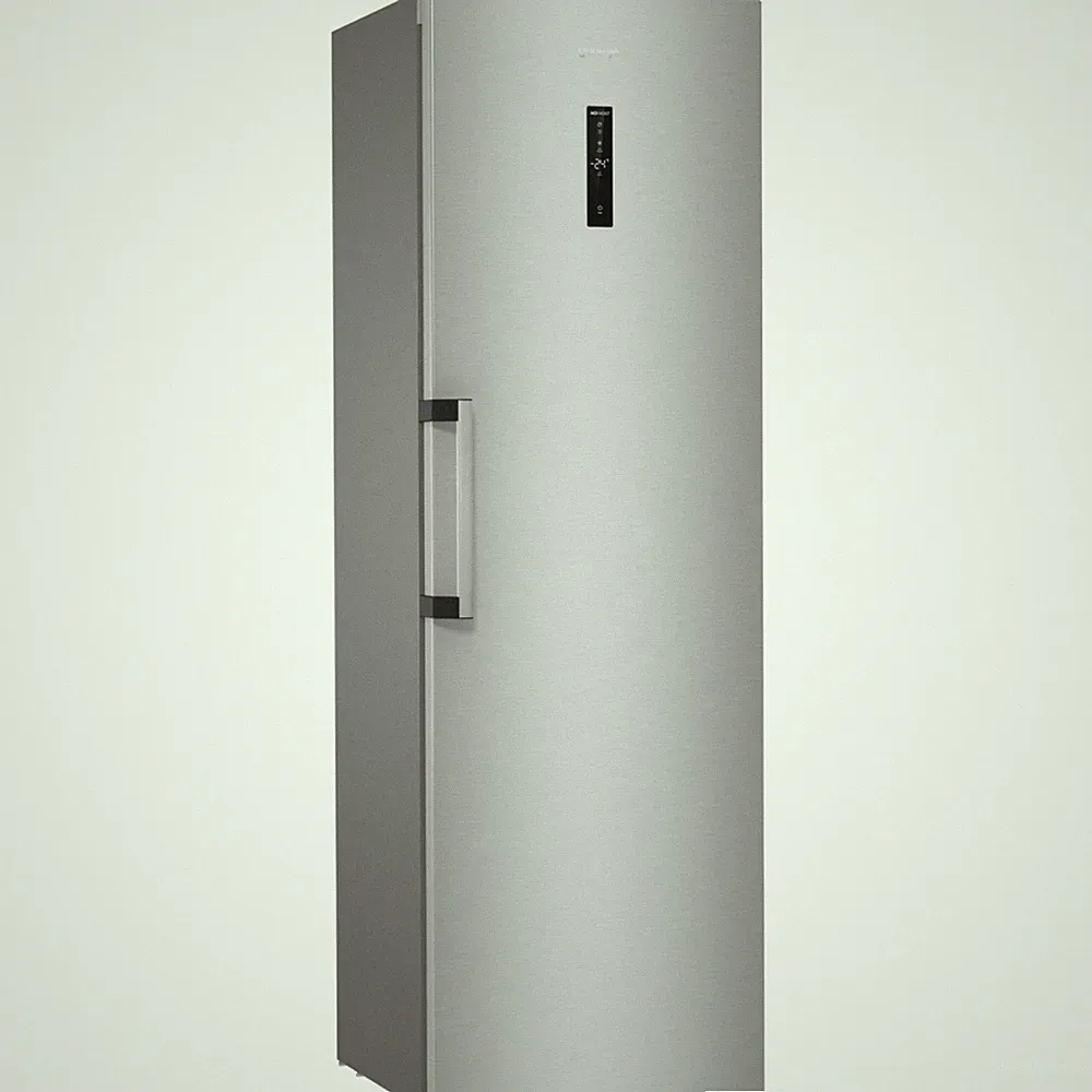 gorenje FN619DAXL6, Gefrierschrank, edelstahl