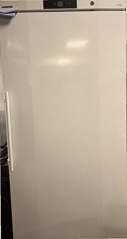 Liebherr GGV 5810 Gastro Tiefkühlschrank NoFrost 556L Gewerbe Gefrierschrank