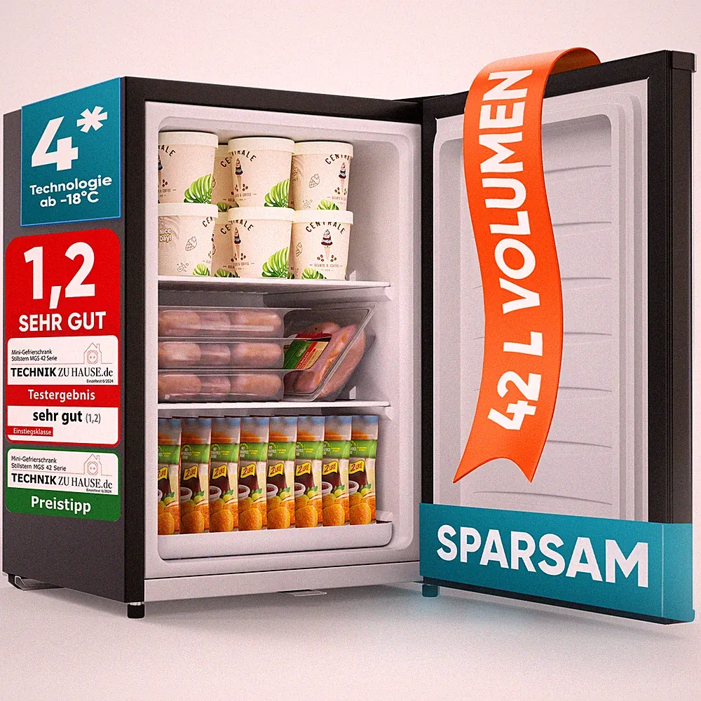 Mini-Gefrierschrank mit Schloss E 42L, 4-Sterne, Leise, Gefrierbox, Schwarz