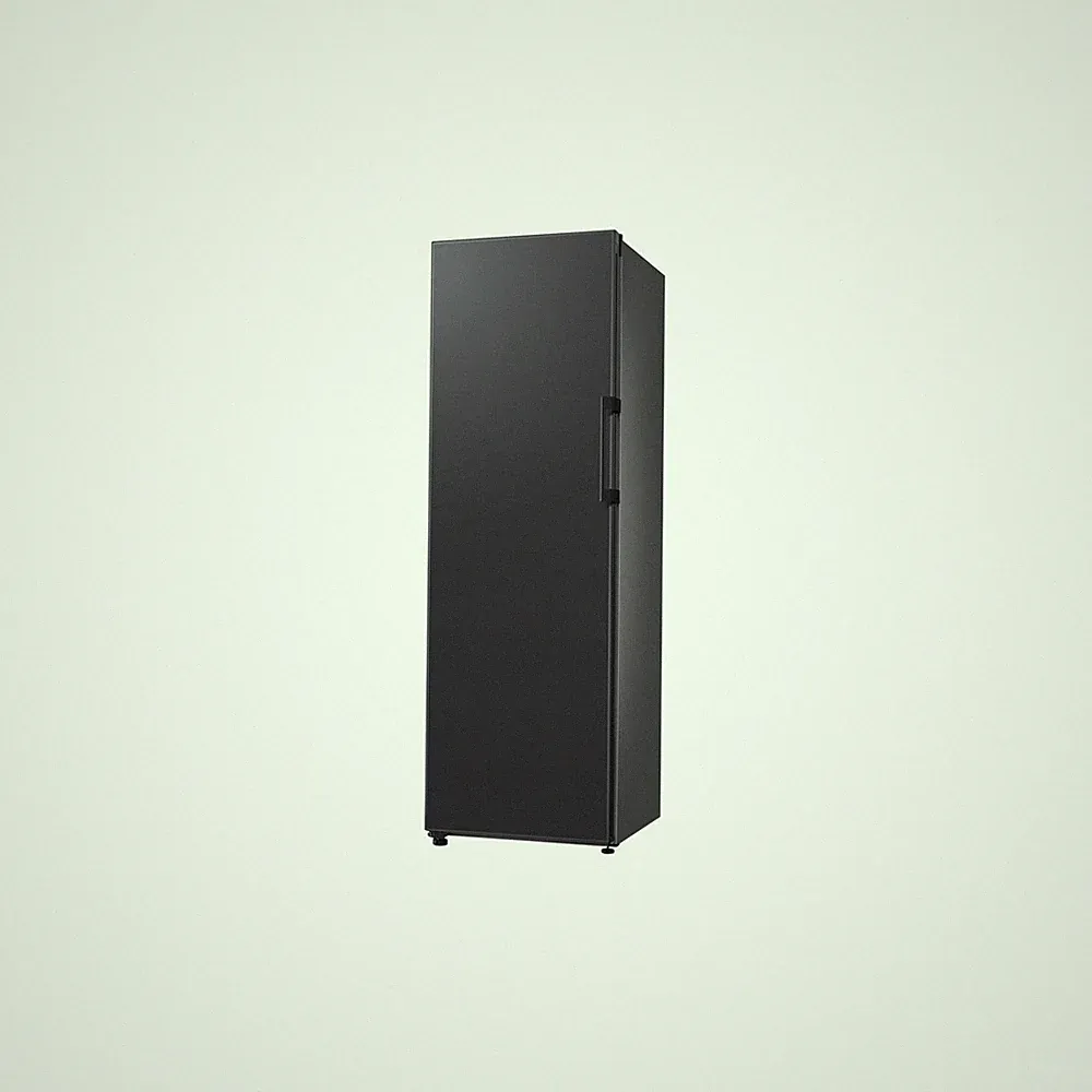 Samsung Bespoke RZ32B76D6VG/EG Gefrierschrank No Frost+ sehr gut