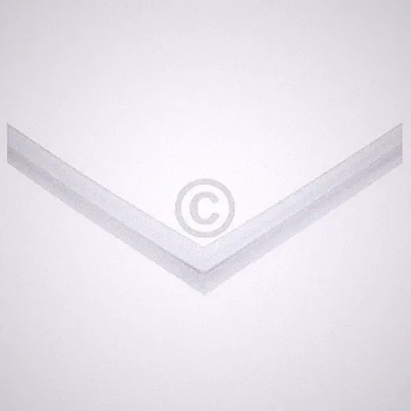 Türdichtung Gefrierteil Gorenje 162629 für Kühl-Gefrierkombination